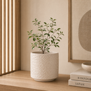 Vaso Cachepot com Base Cerâmica Bege 23cm